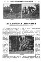 giornale/CFI0307758/1908/V.2/00000202