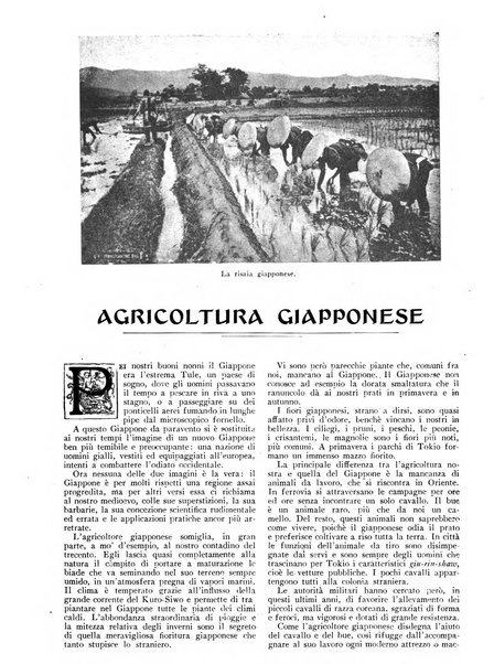 Varietas rivista illustrata