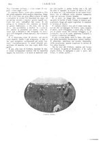 giornale/CFI0307758/1908/V.2/00000282