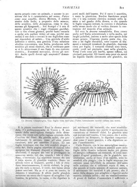 Varietas rivista illustrata