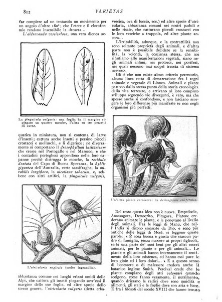 Varietas rivista illustrata