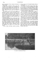 giornale/CFI0307758/1908/V.2/00000306