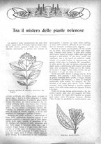 giornale/CFI0307758/1908/V.2/00000349