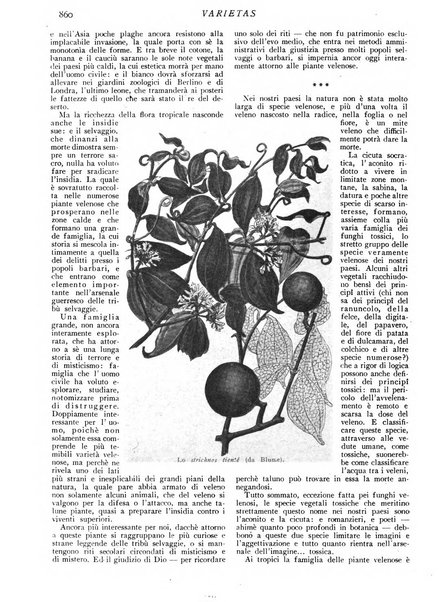 Varietas rivista illustrata