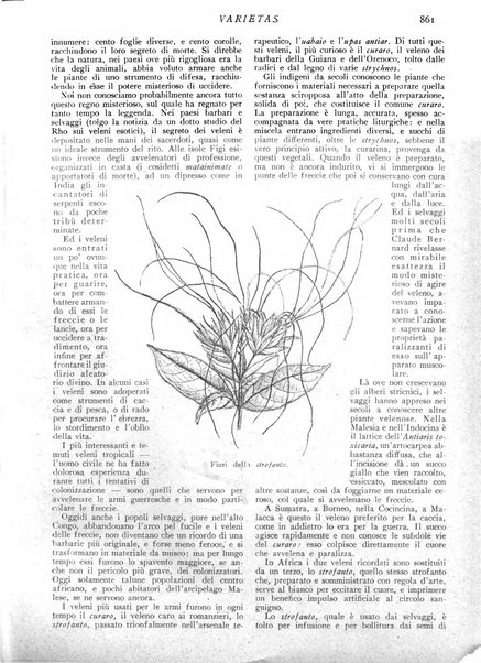 Varietas rivista illustrata