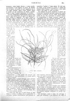 giornale/CFI0307758/1908/V.2/00000351