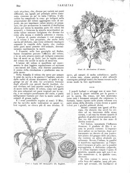 Varietas rivista illustrata