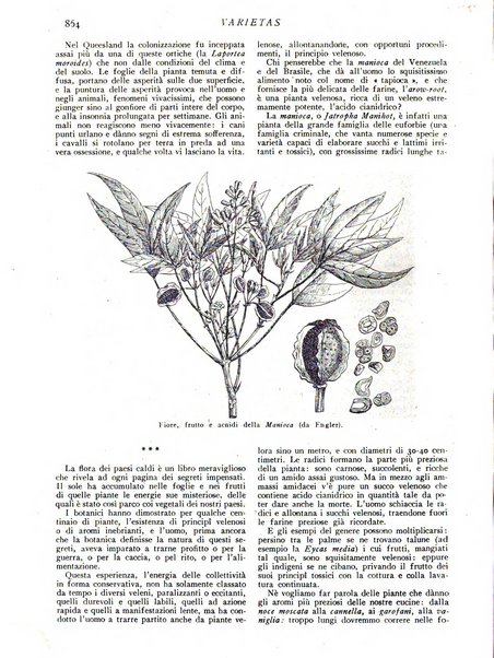 Varietas rivista illustrata