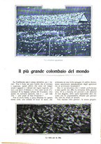 giornale/CFI0307758/1908/V.2/00000385