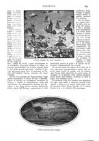 giornale/CFI0307758/1908/V.2/00000387