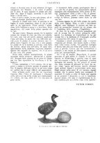 giornale/CFI0307758/1909/V.1/00000034