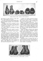 giornale/CFI0307758/1909/V.1/00000053