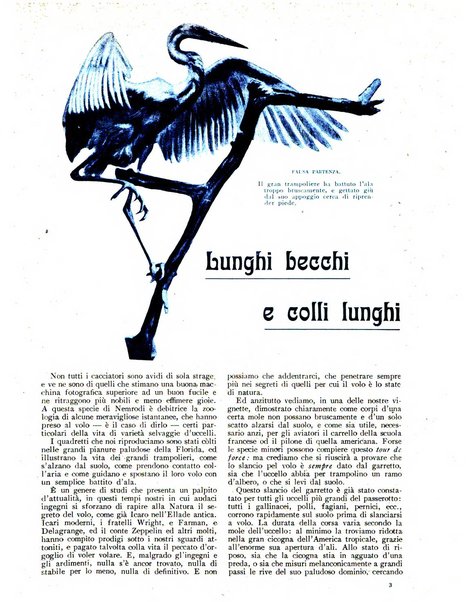 Varietas rivista illustrata