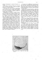 giornale/CFI0307758/1909/V.1/00000247