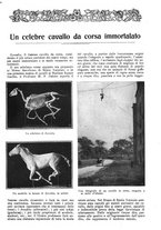 giornale/CFI0307758/1909/V.1/00000269