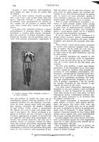 giornale/CFI0307758/1909/V.1/00000270