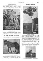 giornale/CFI0307758/1909/V.1/00000277