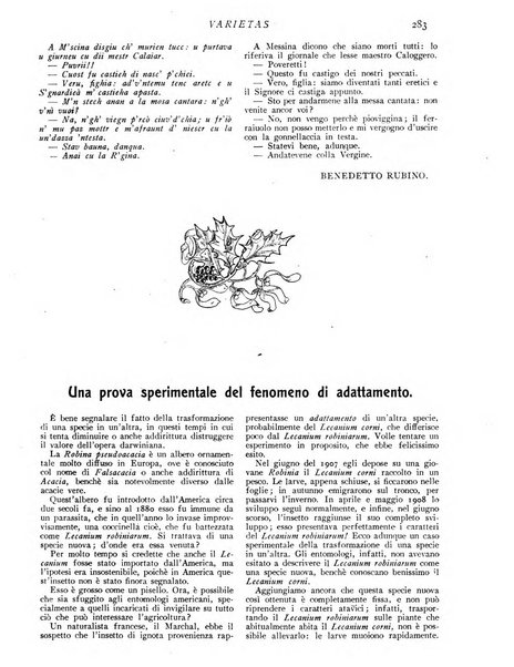 Varietas rivista illustrata