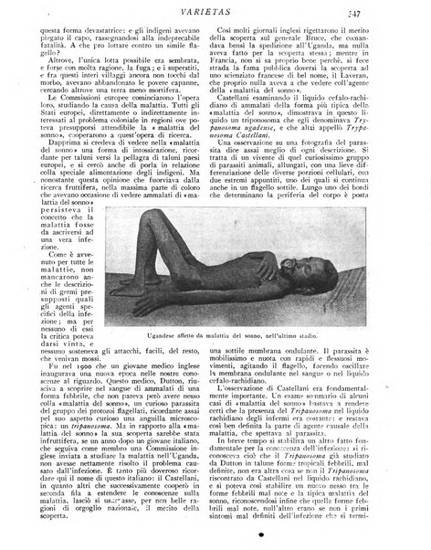 Varietas rivista illustrata