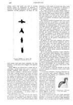 giornale/CFI0307758/1909/V.1/00000418