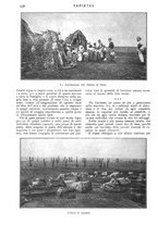 giornale/CFI0307758/1909/V.1/00000512