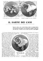 giornale/CFI0307758/1909/V.1/00000539