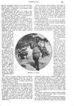 giornale/CFI0307758/1909/V.2/00000017