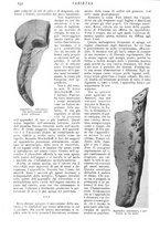 giornale/CFI0307758/1909/V.2/00000158