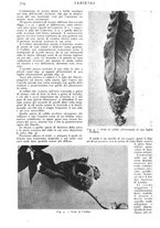 giornale/CFI0307758/1909/V.2/00000254