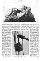 giornale/CFI0307758/1909/V.2/00000255