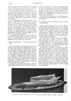 giornale/CFI0307758/1909/V.2/00000346