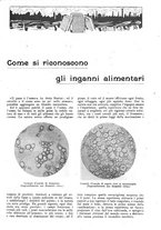 giornale/CFI0307758/1909/V.2/00000435