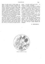 giornale/CFI0307758/1909/V.2/00000441