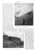 giornale/CFI0307758/1909/V.2/00000483