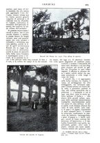 giornale/CFI0307758/1909/V.2/00000485