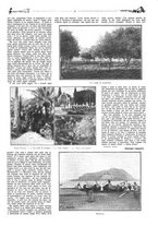 giornale/CFI0307758/1910-1911/unico/00000123