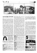 giornale/CFI0307758/1910-1911/unico/00000350