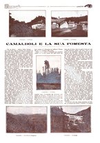 giornale/CFI0307758/1910-1911/unico/00000371