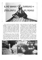 giornale/CFI0307758/1910/unico/00000051