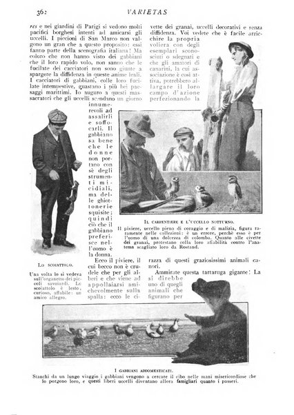 Varietas rivista illustrata