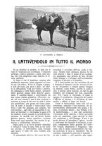 giornale/CFI0307758/1910/unico/00000630