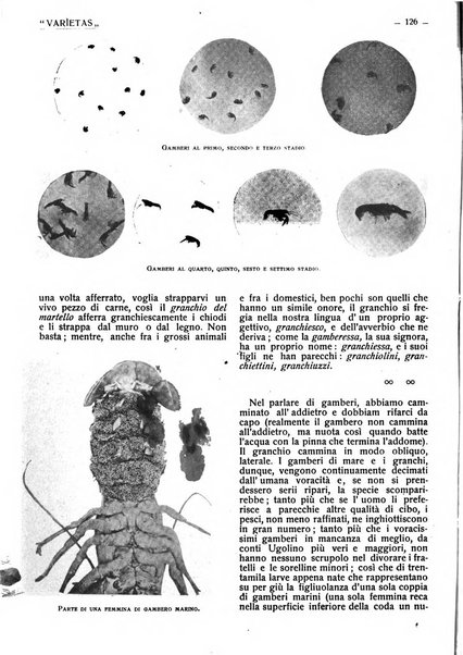 Varietas rivista illustrata