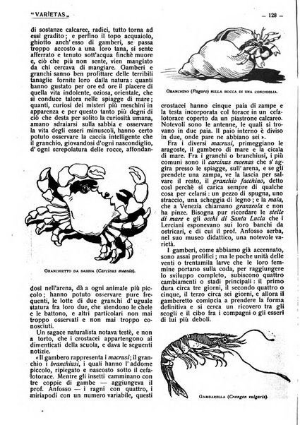 Varietas rivista illustrata