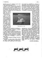 giornale/CFI0307758/1914/unico/00000946