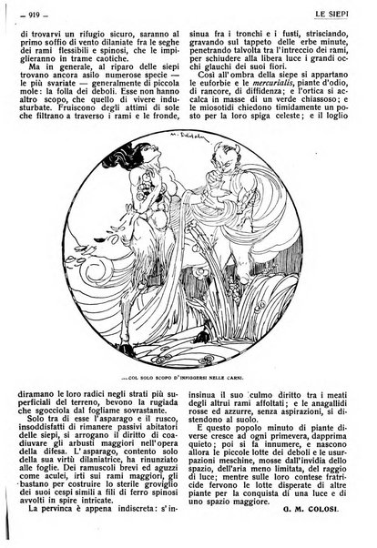 Varietas rivista illustrata