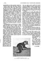 giornale/CFI0307758/1916/unico/00000489