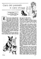 giornale/CFI0307758/1916/unico/00000757