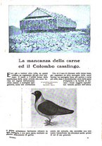 giornale/CFI0307758/1917/unico/00000239