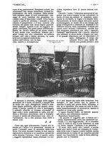 giornale/CFI0307758/1917/unico/00000242