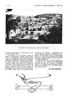 giornale/CFI0307758/1918/unico/00000049